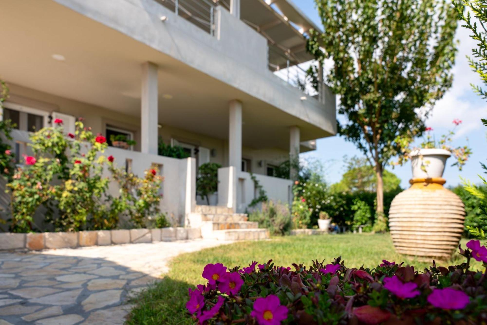 Tesys Studios And Apartments Лаганас Екстериор снимка